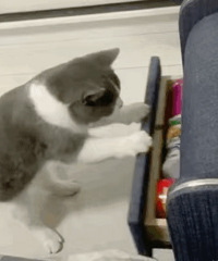 ������ֵ����P&J�´ɸ���29��һ����ԡ��5��19