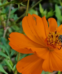 90갮õ㡢Լݺ¶Ӫĸ飬ϣԷ88~95