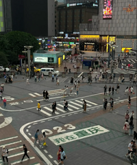 ��Ҳ�ڹ������ĳ���"����������"����ɫ���������Ͼ�