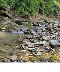 ����һ��Ұ�ӹ���ˣˮ��ץ�з