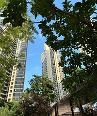 �����������ģ���һ�ı������С��������