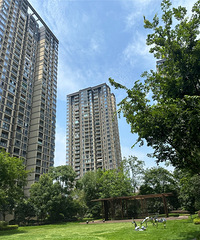 ������˰�ۣ��̵�����ӣ԰��С������ʵ��