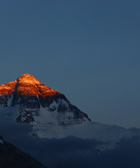 90갮õ㡢Լݺ¶Ӫĸ飬ϣԷ88~95