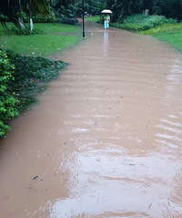 �����ж���С�������ˣ�С������Ҫ��ˮ������С����ˮ����