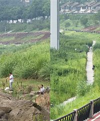 ������·������ŷ��������������ö����ܲ�������