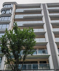 ��Ԥ��!�������·�ϵ���Ҳ̫�ÿ���!