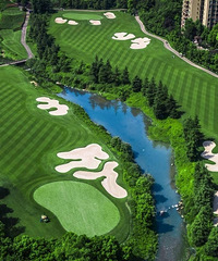 ����Ұ����Ҿ��ñ����߶����ĸ�����Ұ���?