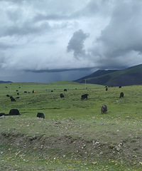 ��һ��ȥ���ǣ�����û����ǰ����׼��̫���ˣ���ԭ��Ӧ̫ʹ��