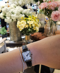 �����������׶�������ʳ�У�