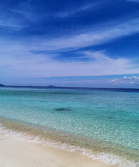 �ְ�ȥ�Ķ�---��Ů�Ĵ�����(���ˡ����С��ĳ�)