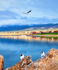 �������ͣ�ʮ�����ʤ�������������жȹ�����