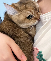 Ϊʲô���ѵĽ𽥲���ô���ˣ�