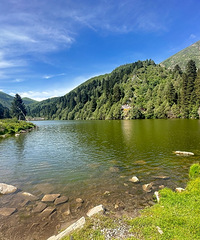 �����ĸ���һ��