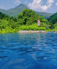 ������Ȫѽ��