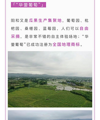 ���ֱ����о����μƻ���150����12����ĸ�������