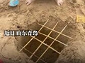孩子做陷阱惹争议