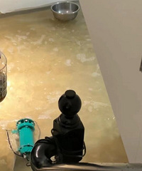 一下雨地下室可以游泳了,你们不想住别墅是为啥