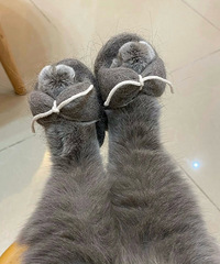 ȡ֮��xx����֮��xx