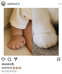 ������ɹ���ӽ��գ�С�����ཱི����ȳ��ɰ�