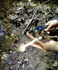 ��ɽ��Ģ����������ɽ��