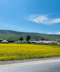 ����⳵������ʡ��뻷�ߡ�������һ�Ķ��ǵ��Ա�ֽ��������