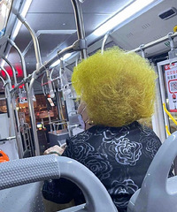 ������ը�ѷ���ͼ����������͸¶��һ˿���¡���