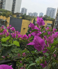 ���ڵȷ�Ҳ���㣬һ�����һ�ߴ����������