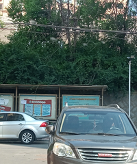 ¥����̨��ʬ�������²�����һ�£��벻���׳���ΪʲôҪ������