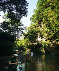 ����һСʱ����ɽ��ˮ�ı�����а�����Ŀ���