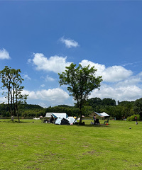 ������������ҵ��ʳ�ó��緹�������޶�������ҵ����ۣ�