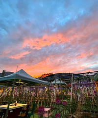 ľ���̱�������˲��࣬��Ƥţ��28/��