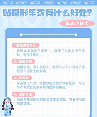 2023���γ�����ôѡ���ܾ����²ˣ����γ���Ǳ����������ʵ��