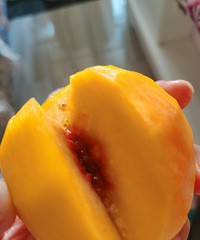 �Թ���óԵĻ��ң���Ȼ�����Ǵ������Լ���Ʒ��