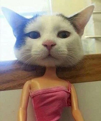 ʧҵ�ڼң��׸���ת��76���㻨Ǯ�����������Ǯ�˵�ʹ����