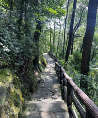 ͽ������ɽ�������ҵ��ռ����룬���Ҹ��С��