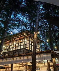 86��161CM��С������飬ϣ���Է����Ҵ�10���С10��