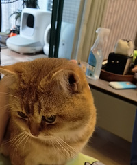 ָõˢҼǵˣСС͡ǡ