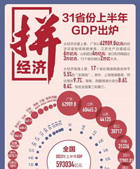 31ʡ���ϰ���GDP�ɼ�������
