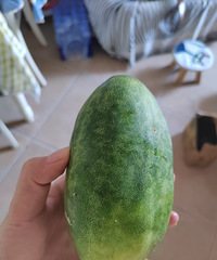 ������Ҽĵģ�����ʲô�ϰ��������ų�����