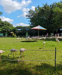 �����麣��