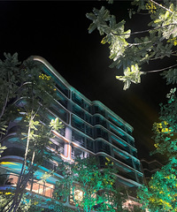 ��������Ҽ�Ż����ԣ�