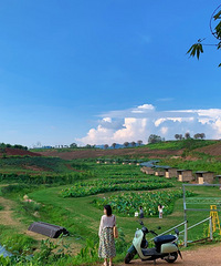 ���鿥��������ĳ�����������Ŀ���ʵ�֣����������˾�