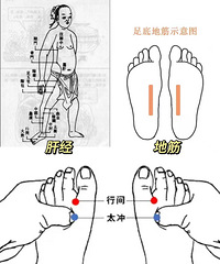 三伏天调理肝气,安利疏肝3件套,打通淤堵气结,给皮肤排毒