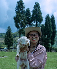 �����½���������ʿ�����Ǵ���������������