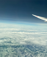 8�µ��������ı�ҵ���У���nice