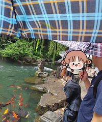 ɽ�������Σ�����-����-�ൺ����ˮ��