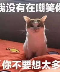 ��ͣ����������Q7��Ů������ôͣ����ͣ����ȥ����ȥ��æ���ܾ�