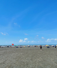 �����Լݹ��ݷ��Ǹۺ͹��֣�����Ϻ�����ʳ����Щ�������ǲȹ���