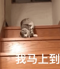 ������ֵ�����˼��մ�ˮ12ƿ25����������Һ��Ĥ5Ƭ29