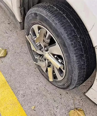 ����ɶ������˭֪������